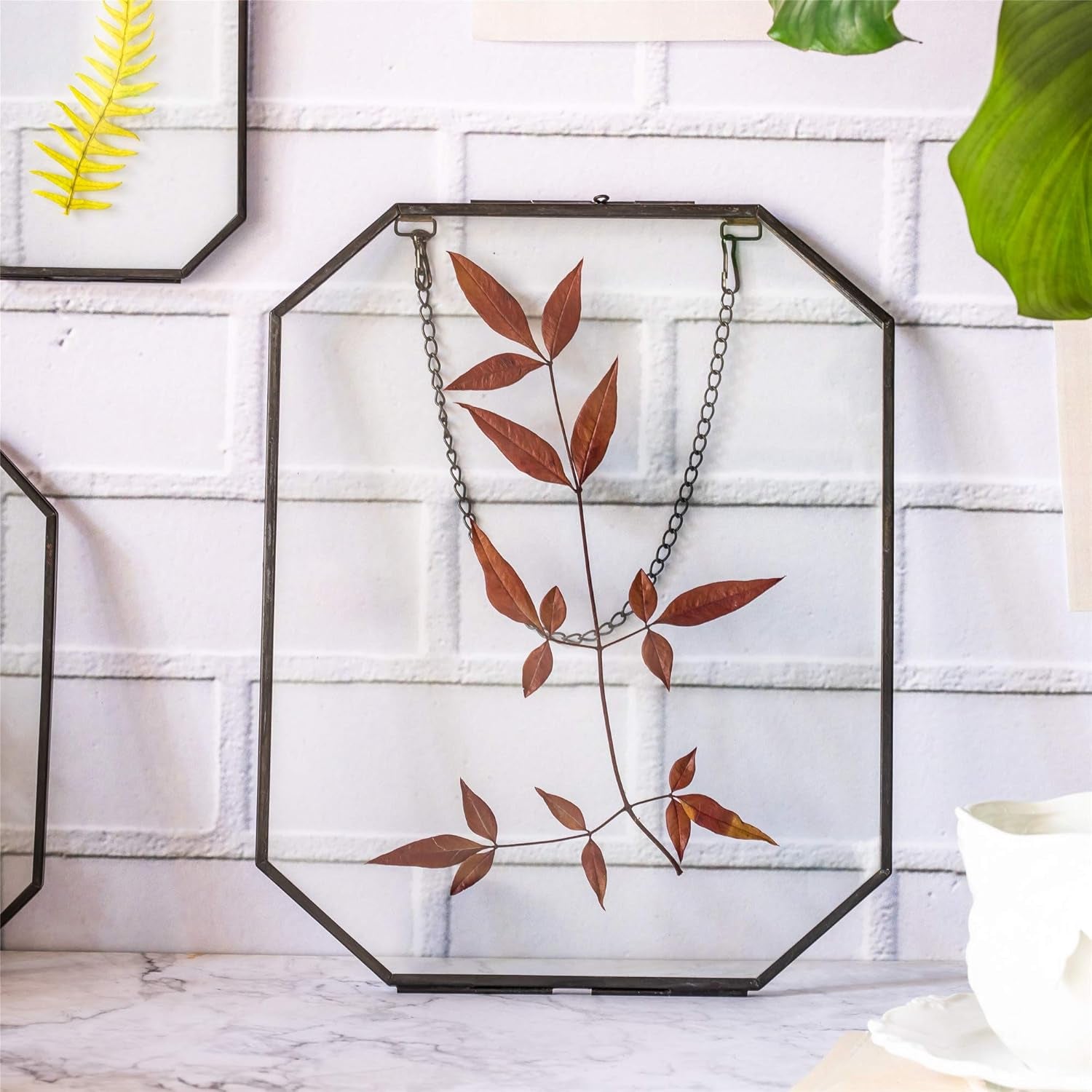 Wall Hanging Black 8X10 Inches Octagon Herbarium Glass Frame for Pressed Flowers, Dried Flowers, Poster, Double Glass, Floating Frame Style (Glass Frame Only)