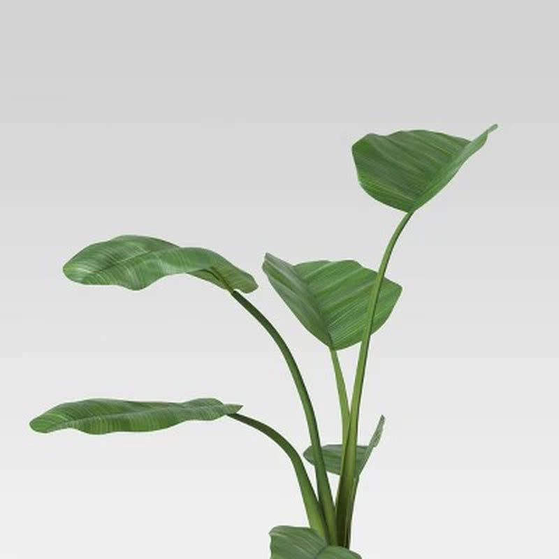 36" X 26" Artificial Travelers Banana Leaf in Pot - Project 62